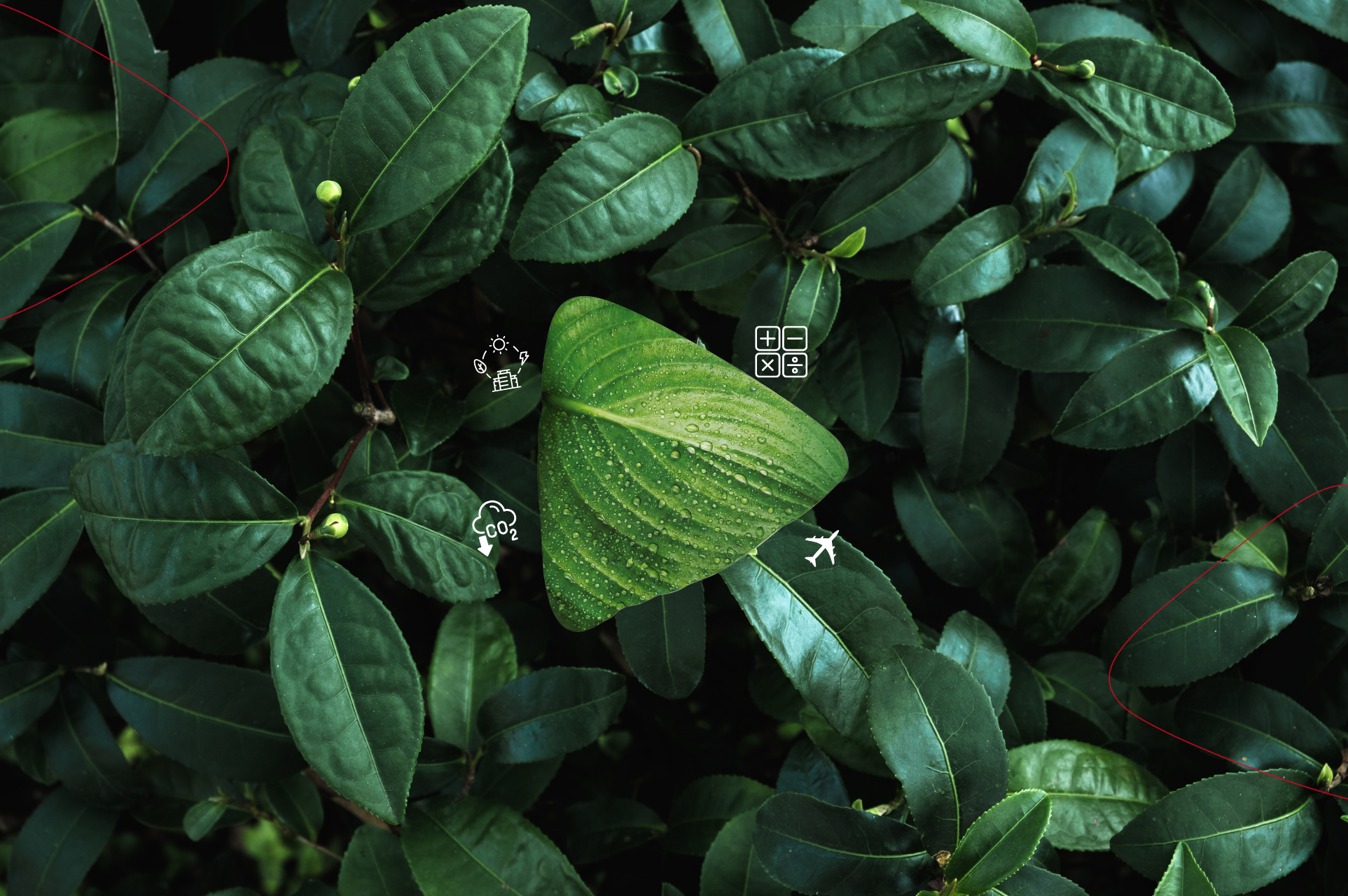 حاسبة البصمة الكربونية